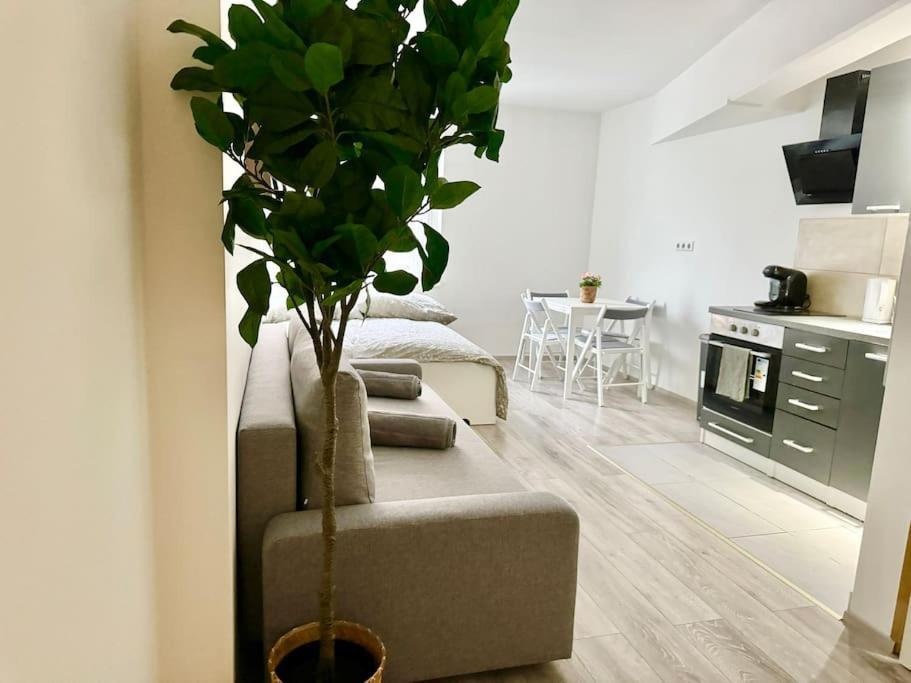 Easy Suites - Free Underground Parking Wien Exterior foto